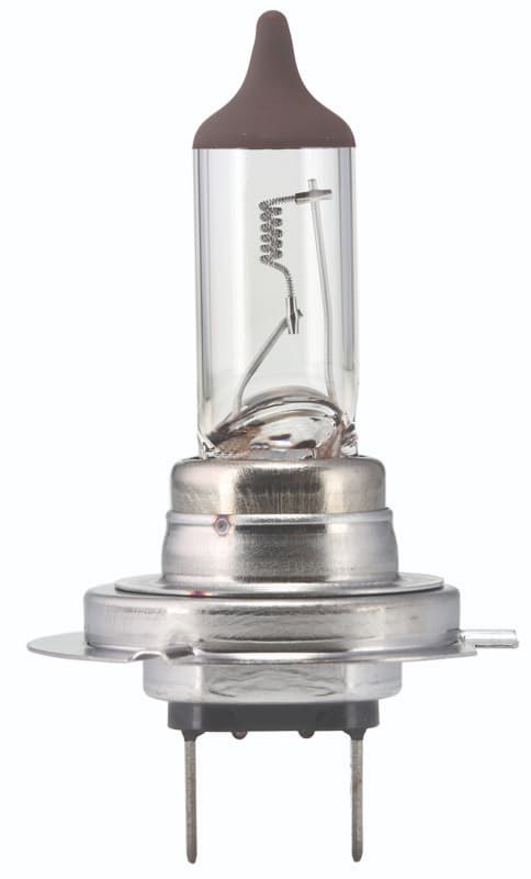 Halogen Headlight Bulb