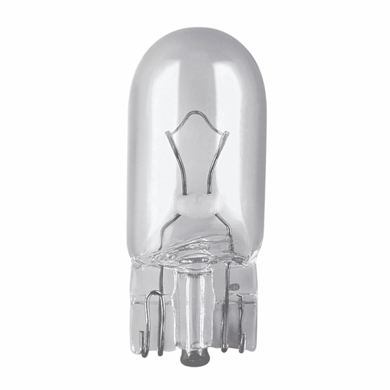 Base Bulbs 24V