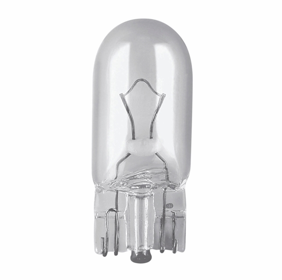 Base Bulbs 24V